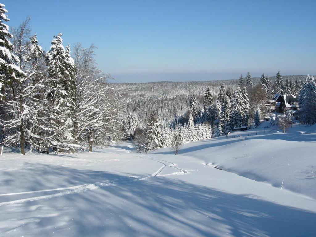 Helenenhof Hotel Altenberg Bagian luar foto